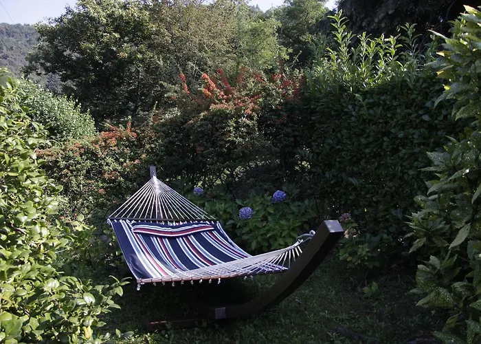 Les Etoiles 贝拉焦