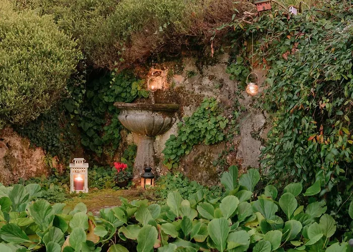 Les Etoiles 贝拉焦